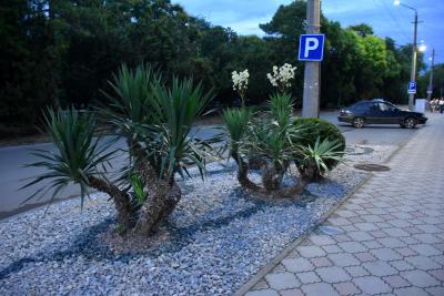 Прикрепленное изображение: DSC_0490.JPG